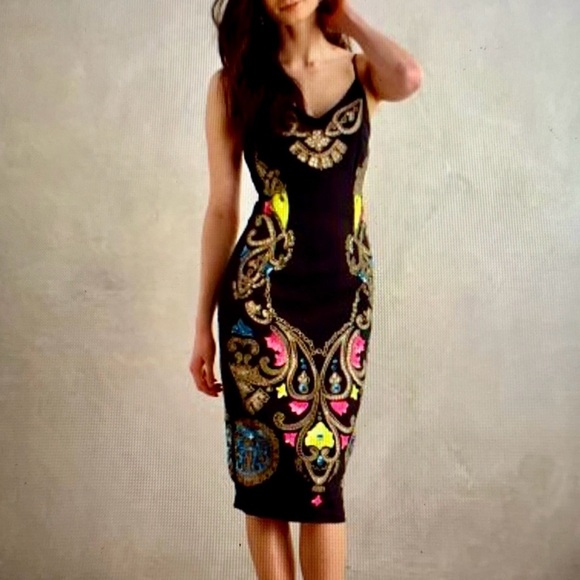 Tracy Reese Dresses & Skirts - Tracy Reese Anthropologie Embroidered Emele Dress Size 2 Sequin Eyelet